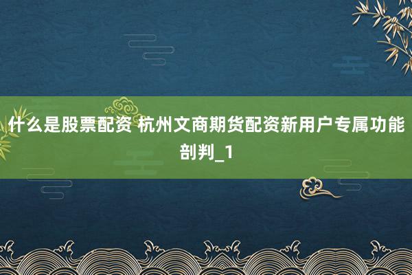 什么是股票配资 杭州文商期货配资新用户专属功能剖判_1