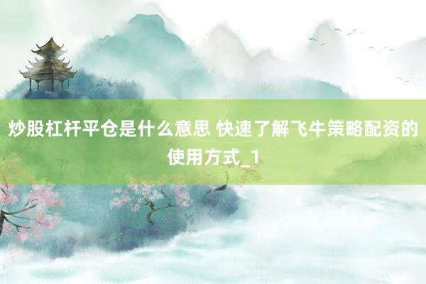 炒股杠杆平仓是什么意思 快速了解飞牛策略配资的使用方式_1